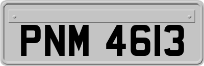 PNM4613