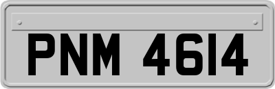 PNM4614