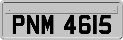 PNM4615