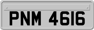 PNM4616