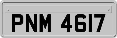 PNM4617