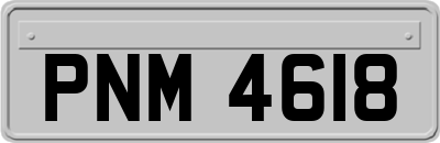 PNM4618
