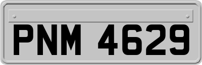 PNM4629