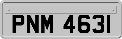 PNM4631