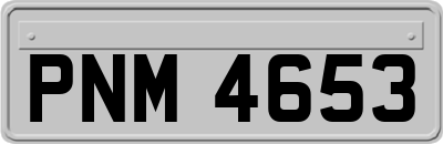 PNM4653