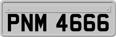 PNM4666