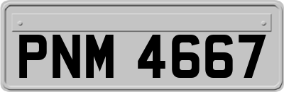 PNM4667