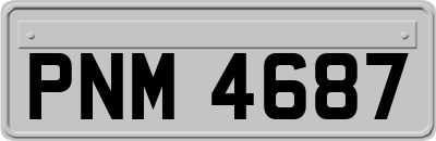 PNM4687