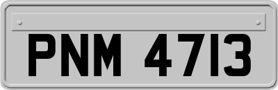 PNM4713