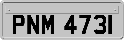 PNM4731