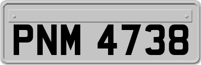 PNM4738