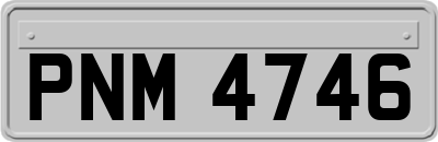 PNM4746