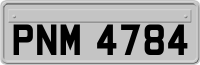PNM4784