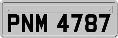 PNM4787
