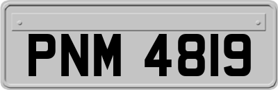 PNM4819