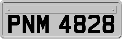 PNM4828