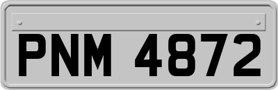 PNM4872