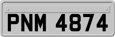 PNM4874