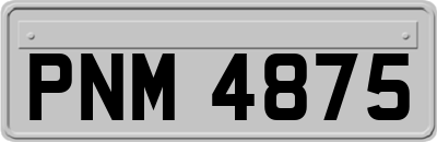 PNM4875