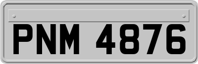 PNM4876