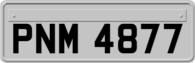 PNM4877