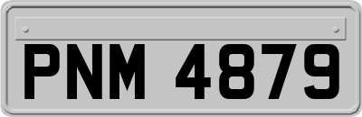 PNM4879