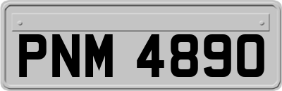 PNM4890