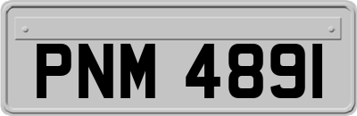 PNM4891