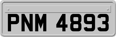 PNM4893
