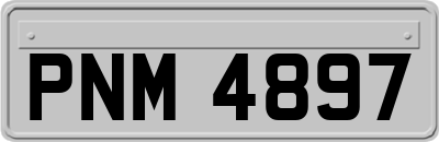PNM4897