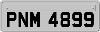 PNM4899