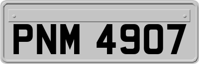 PNM4907