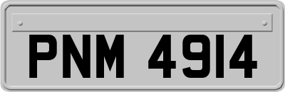PNM4914