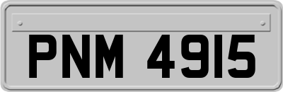 PNM4915
