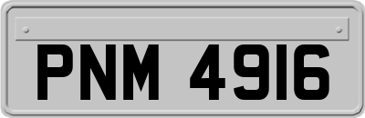 PNM4916