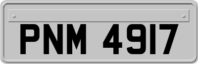 PNM4917