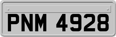 PNM4928