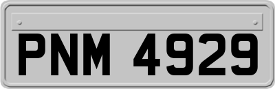 PNM4929