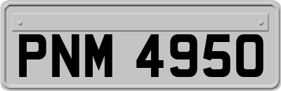 PNM4950