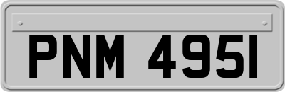 PNM4951