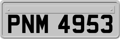 PNM4953