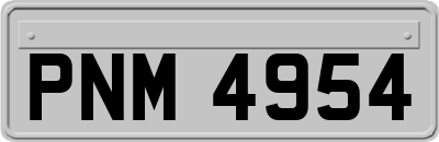 PNM4954