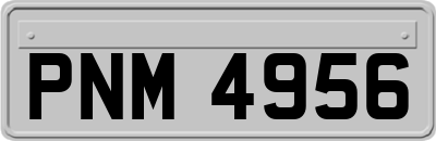 PNM4956