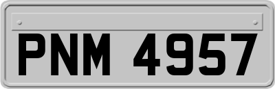 PNM4957