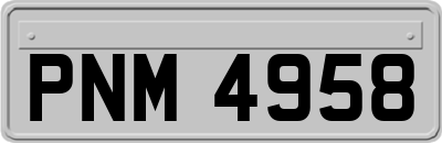 PNM4958