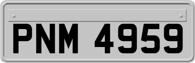 PNM4959