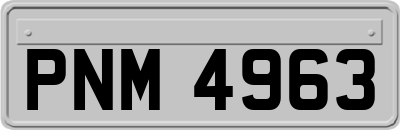 PNM4963