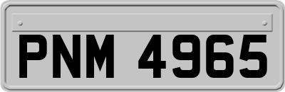 PNM4965