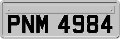 PNM4984