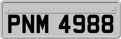 PNM4988